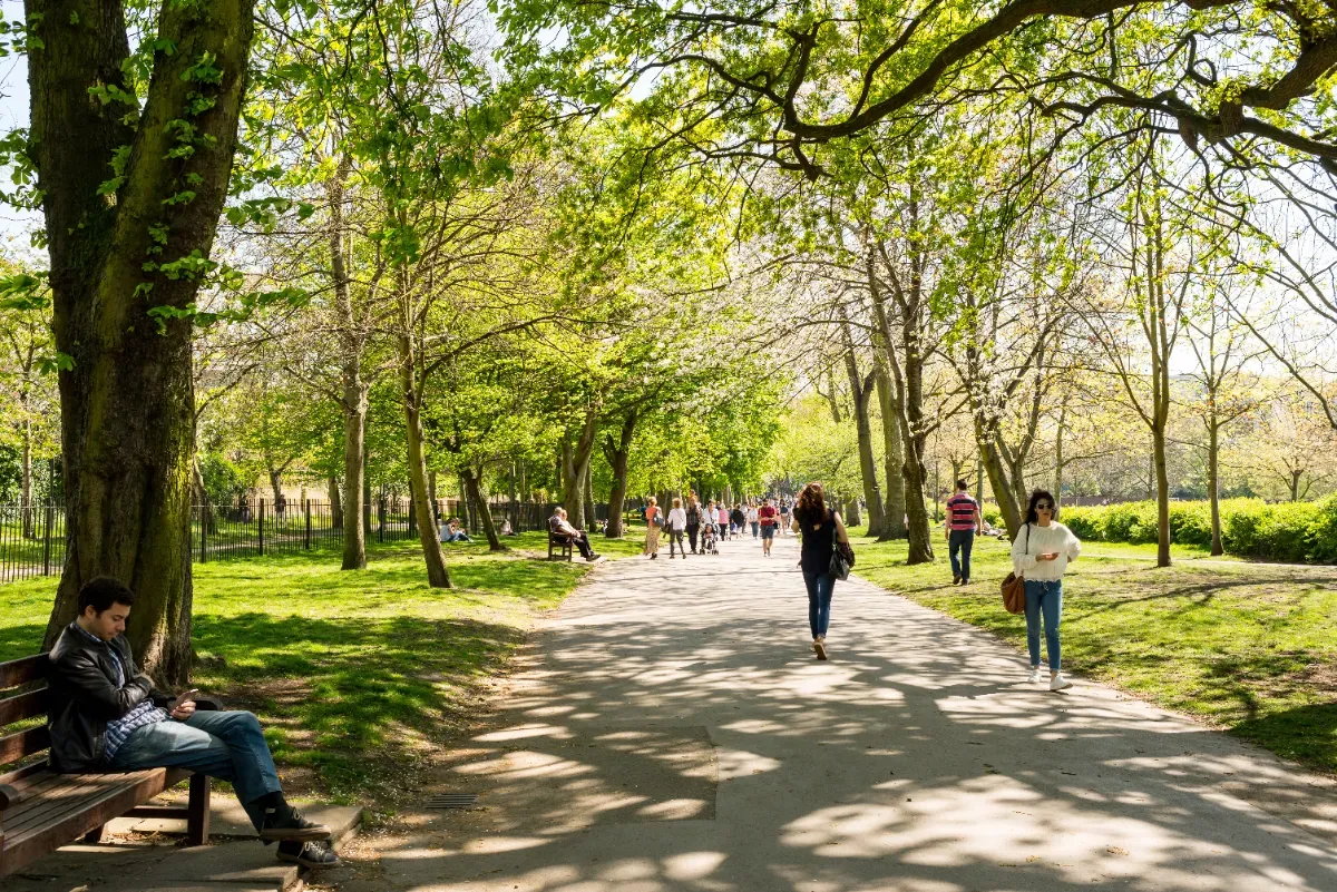 De onbekende efficiëntie van fietsen