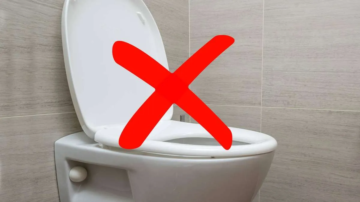 Waarom je de toiletbril nooit open moet laten staan